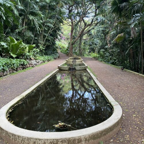 A long pool of water in a white fountain with a forest behind it